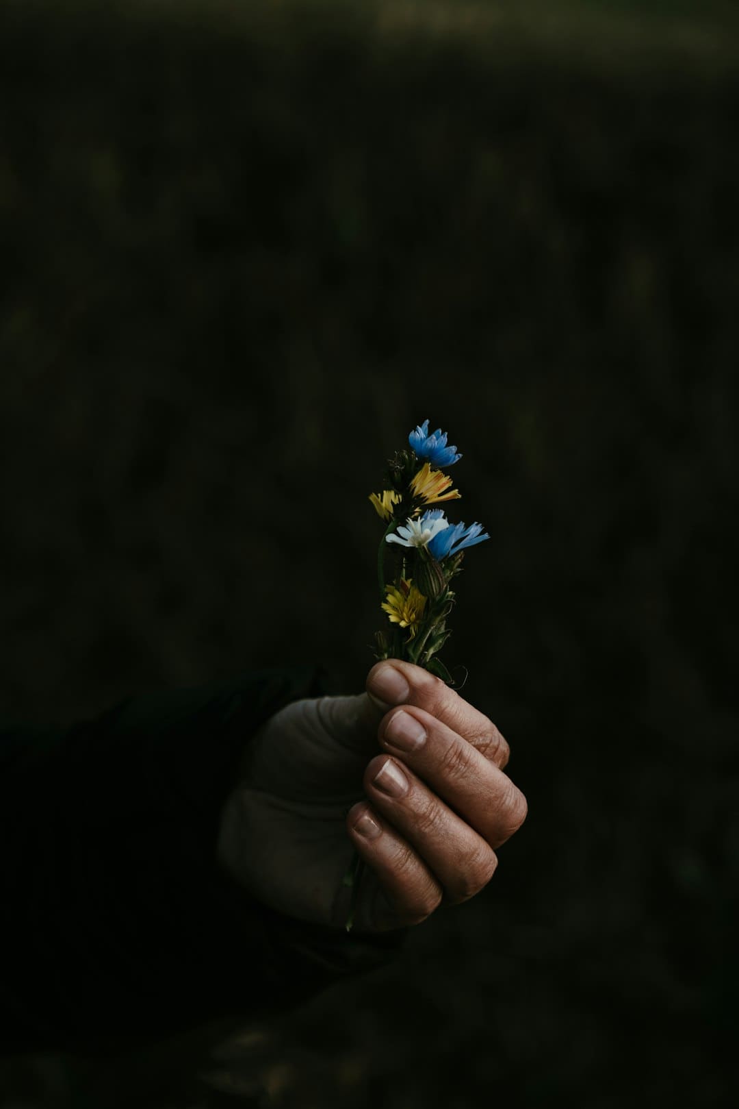 苹果高管放话：Siri晋级规划将远超此前想象